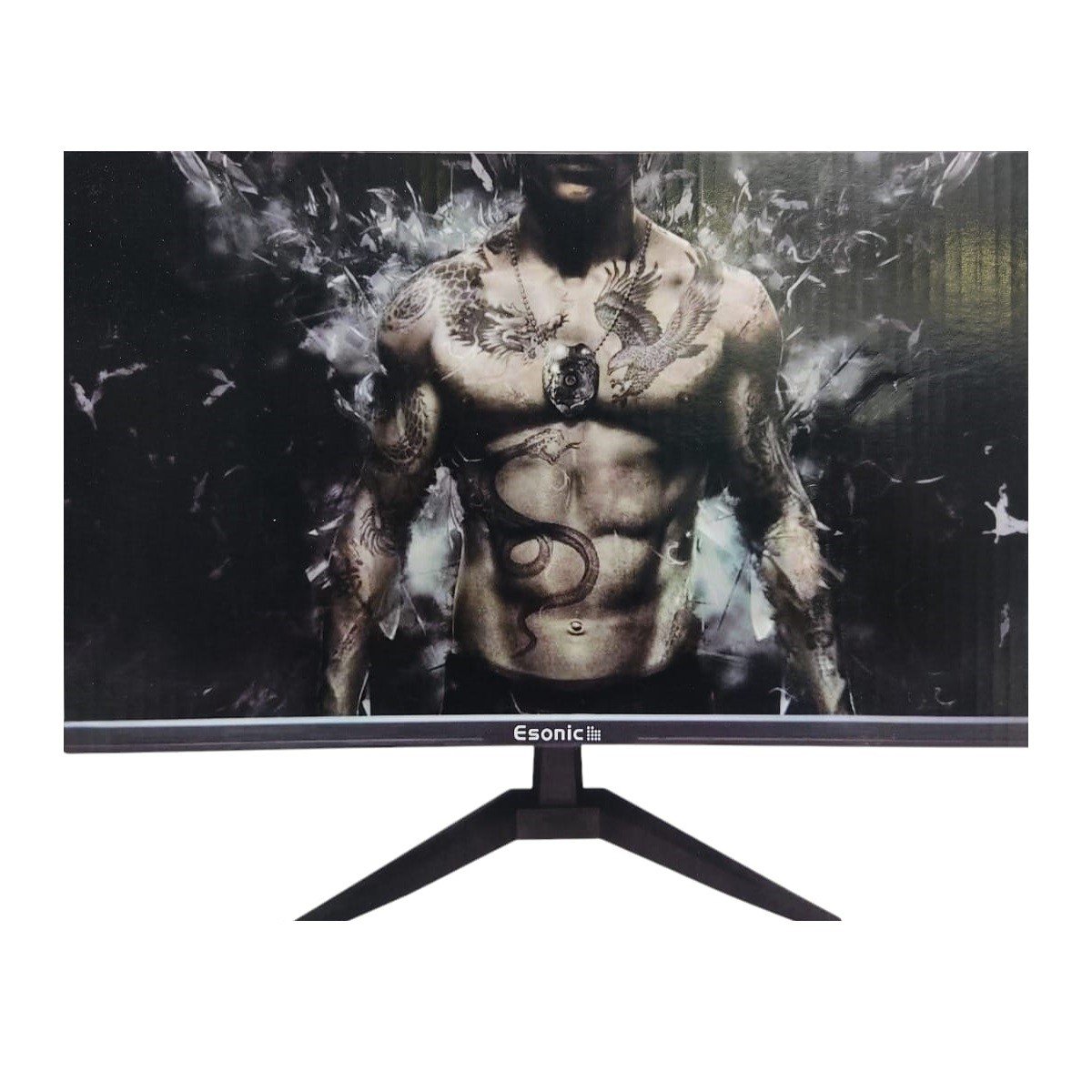 Esonic 22ELMW Black 21.45-Inch 75Hz FHD Display Monitor