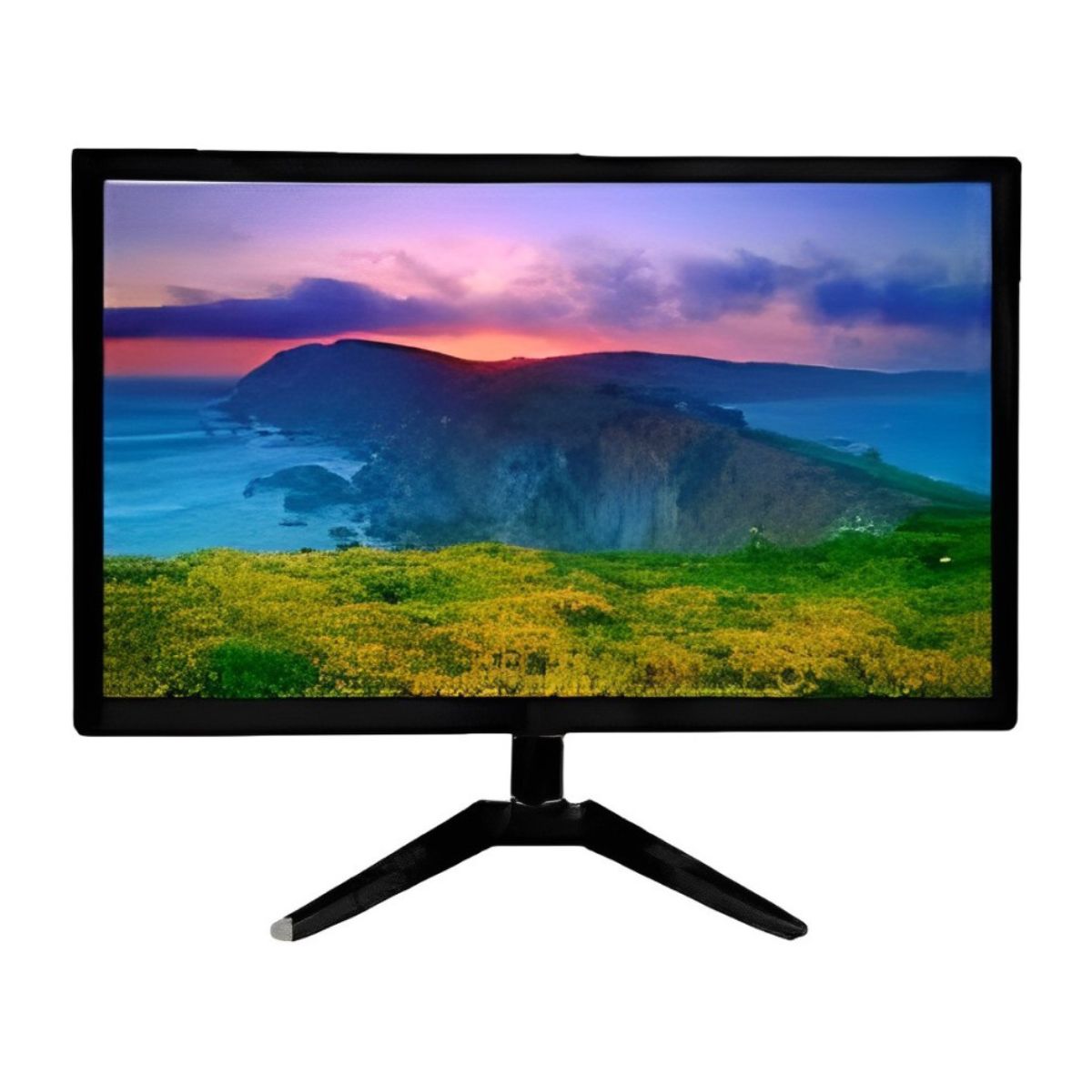 Esonic ESLM19W 19 inch HD LED Monitor