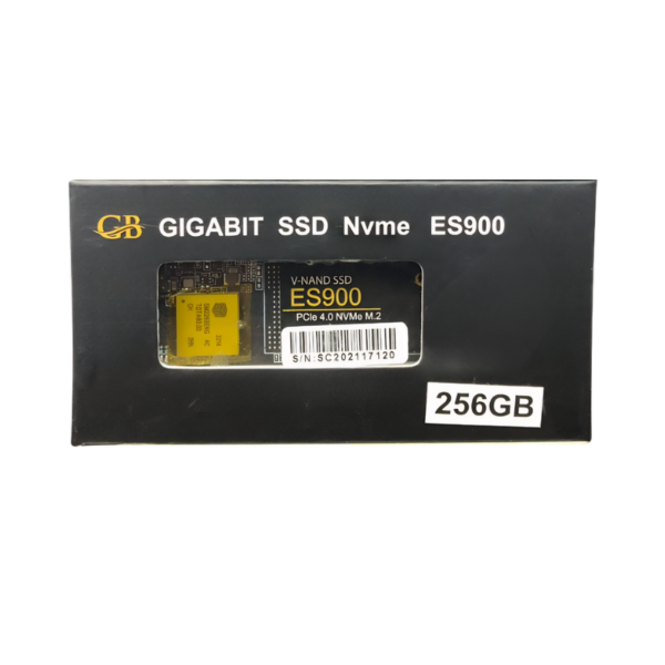 GIGABIT ES900 256GB PCIe NVMe M.2 SSD