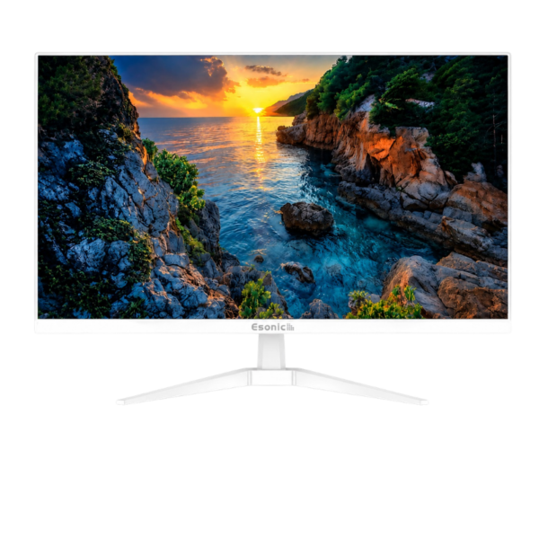 Esonic ES22S 22 inch FHD Micro-border Monitor